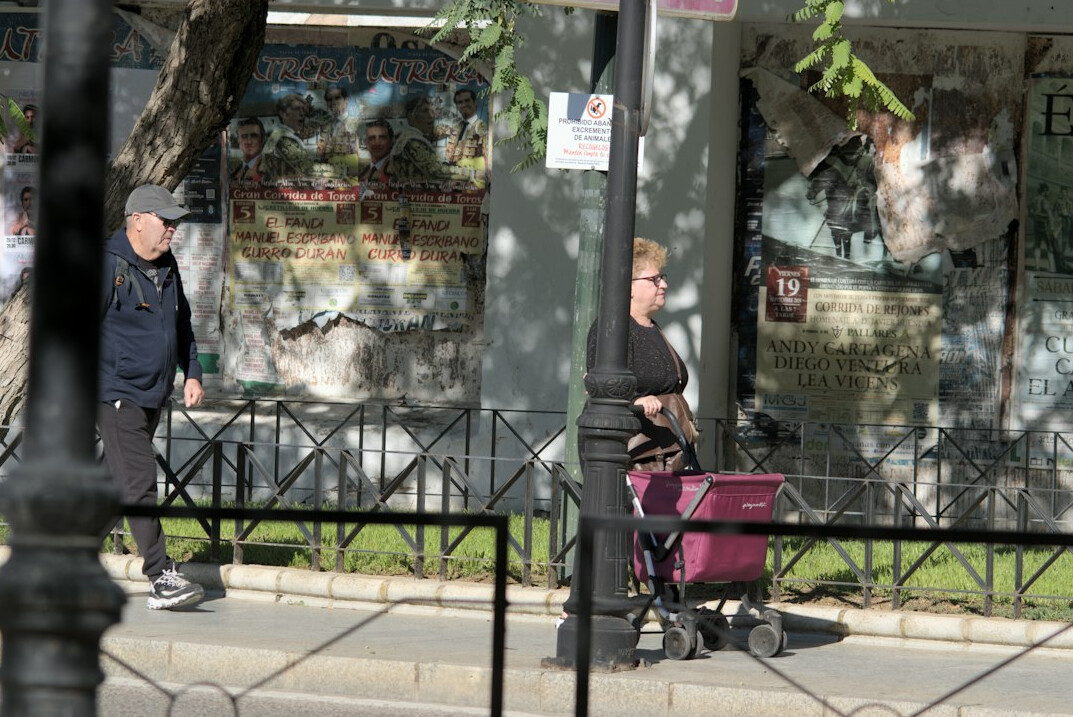 elderly woman shopping